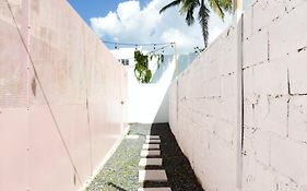 Tropicalia By Dw